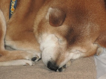 f0223234_10562697.jpg