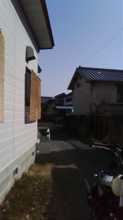 e0053535_15232793.jpg