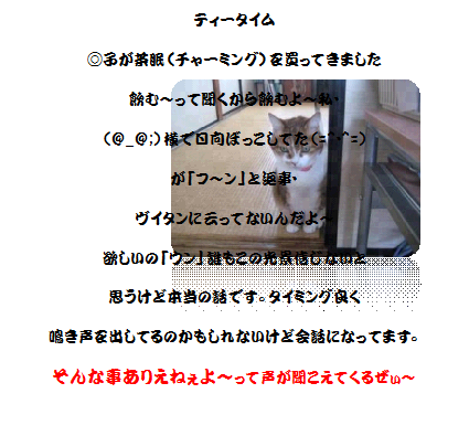 e0255638_16361514.png