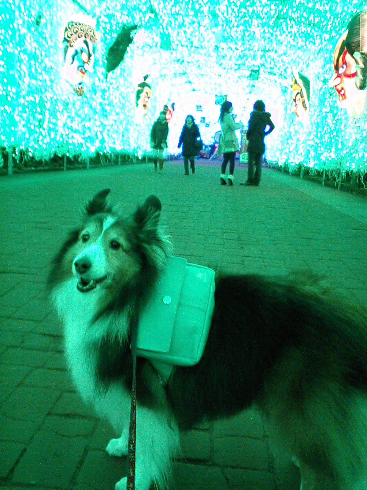 f0210439_22154427.jpg