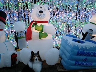 f0210439_221699.jpg