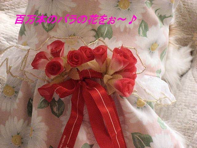 a0149240_8454145.jpg