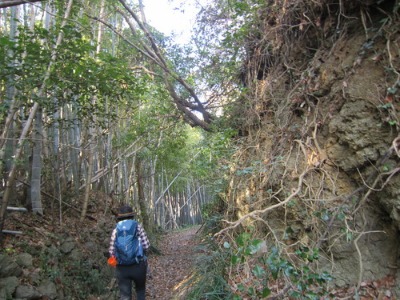 e0110940_2104973.jpg