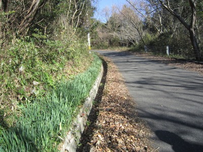 e0110940_212866.jpg