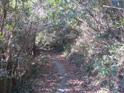e0110940_285211.jpg