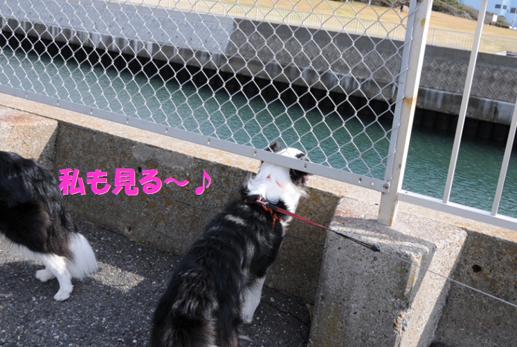 c0147241_1445487.jpg