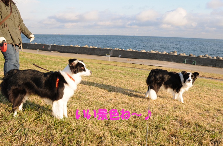 c0147241_14464021.jpg