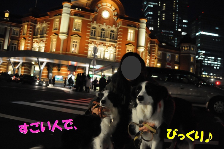 c0147241_14473411.jpg