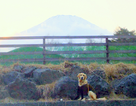 c0097558_17253041.jpg