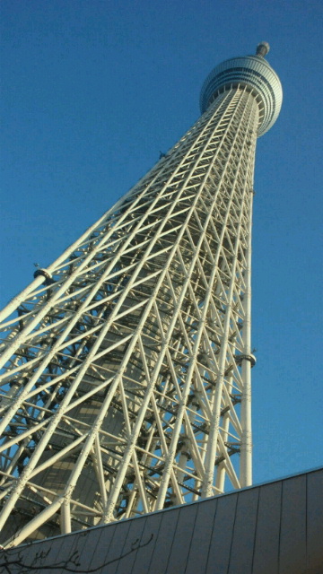 f0180166_2218198.jpg
