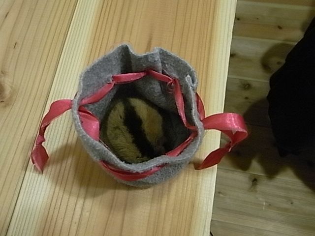 a0146070_7503868.jpg
