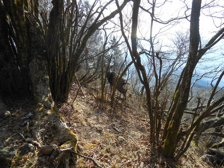 c0206177_17181782.jpg