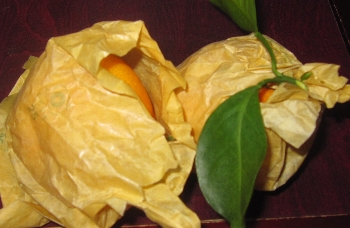 f0003283_10535141.jpg