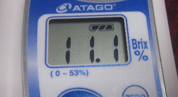 f0003283_1055213.jpg