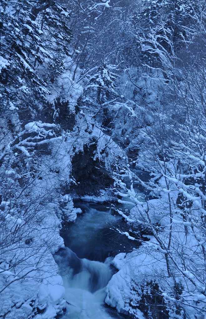 c0240388_1649743.jpg