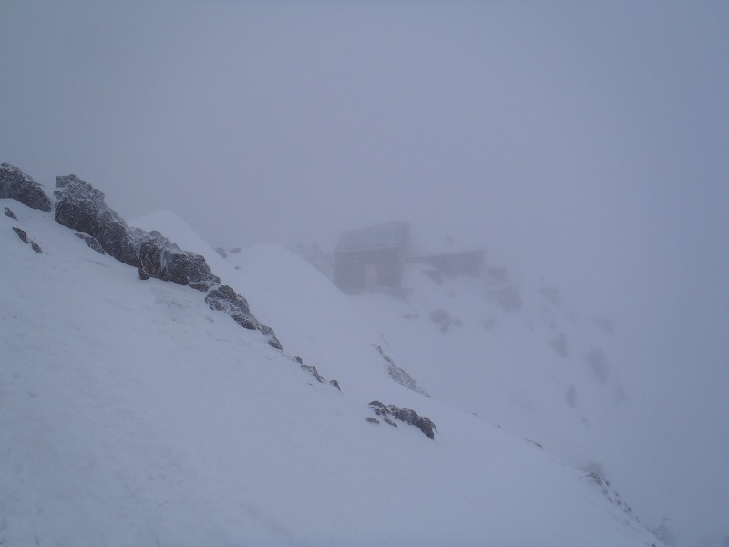 c0147398_303964.jpg
