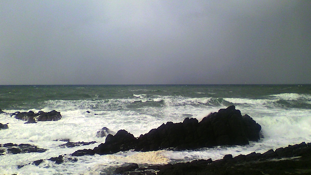 f0108399_8101944.jpg