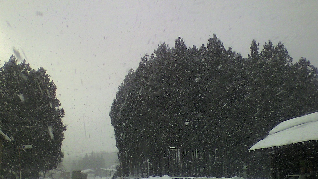 f0108399_8135018.jpg