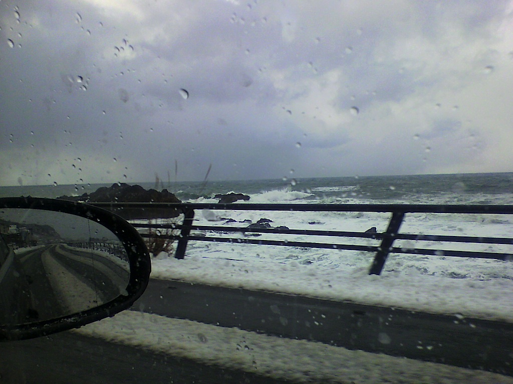 f0108399_82071.jpg