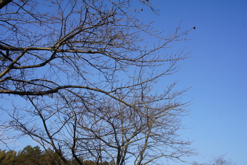 a0211200_21464150.jpg