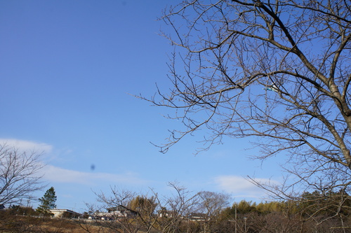 a0211200_2147360.jpg