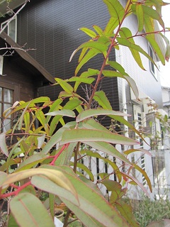 c0152002_17474825.jpg