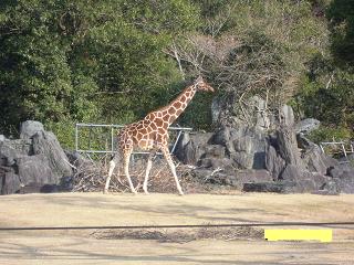 e0144903_1331844.jpg