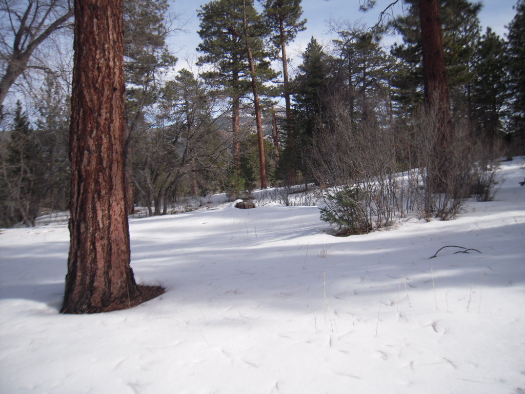 a0144811_146690.jpg