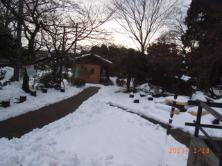 f0110413_1672580.jpg