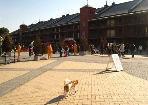 c0084117_20441120.jpg