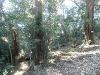 f0191517_16585523.jpg