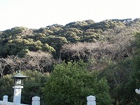 f0191517_1658645.jpg