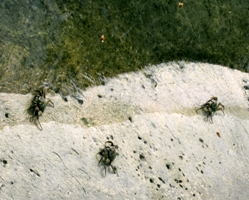 a0043520_20515139.jpg