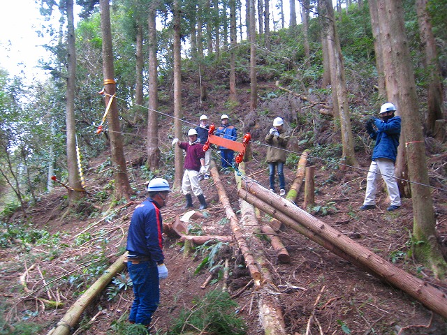 e0002820_2321511.jpg