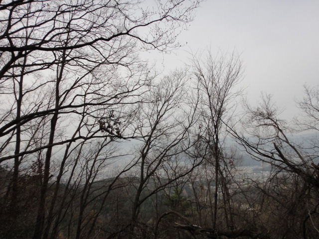 c0189724_1912029.jpg