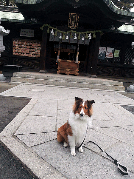 b0066826_2126537.gif