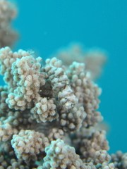 b0100730_17153542.jpg