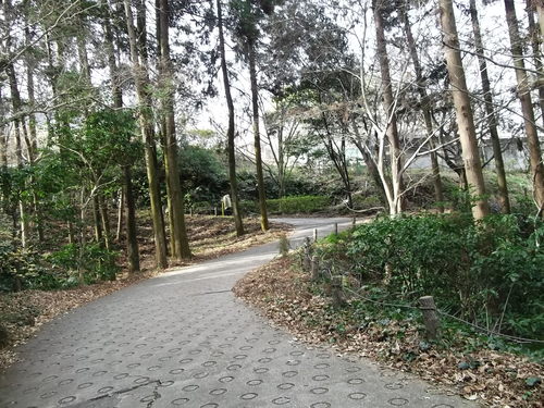 b0137932_1436440.jpg