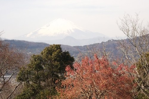 b0137932_14412770.jpg