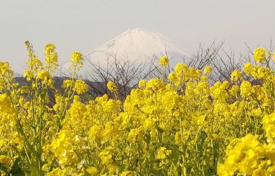 b0137932_15285638.jpg