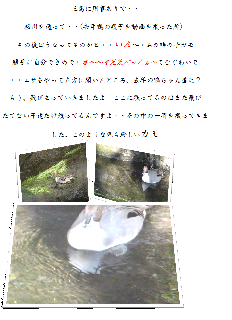 e0255638_17524555.png