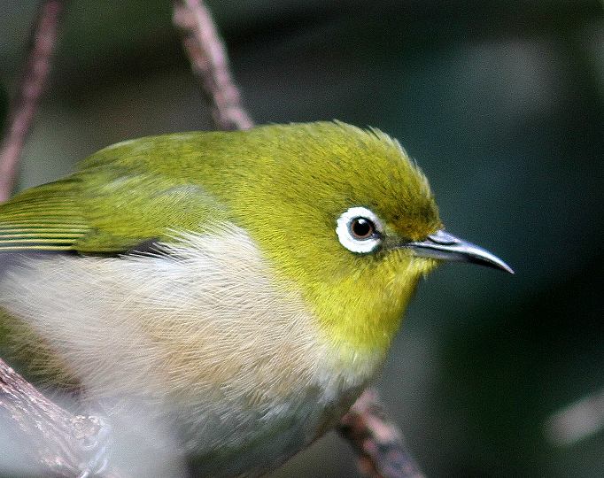 c0172139_0251978.jpg