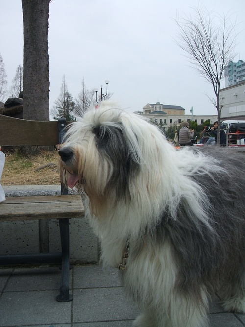 a0286340_20102592.jpg