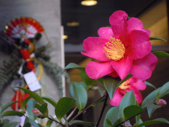 a0265945_0234952.jpg