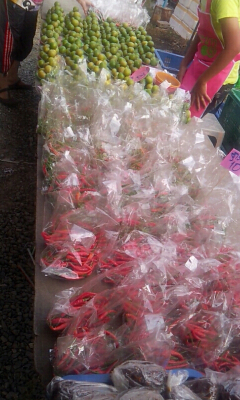c0189747_2240329.jpg