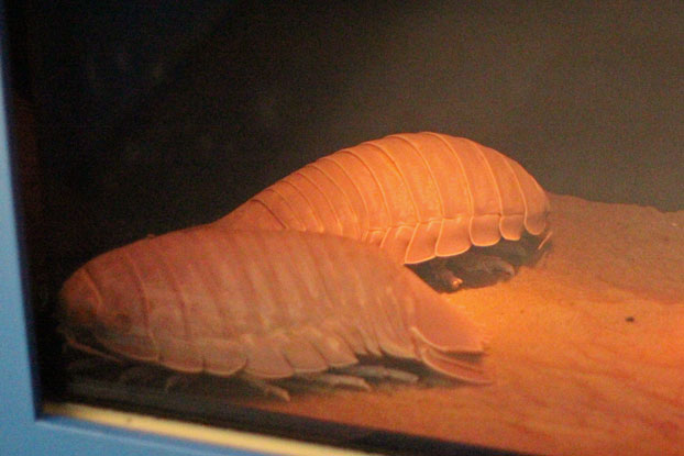 e0294253_11204276.jpg