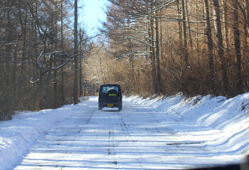 f0232758_2039484.jpg