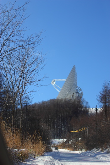 f0232758_20452755.jpg