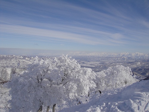 f0002265_1282934.jpg