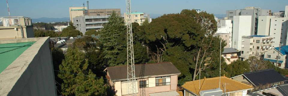 c0170789_10145847.jpg